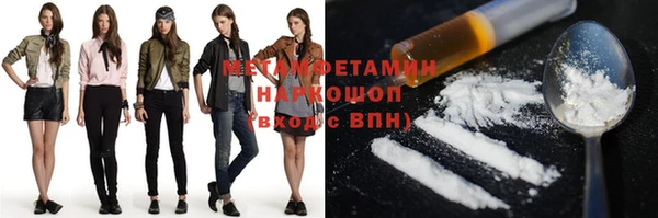 прущие грибы Ступино