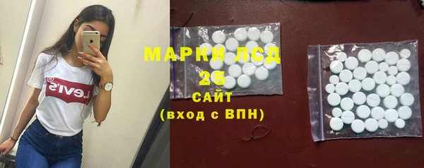 ГАЛЛЮЦИНОГЕННЫЕ ГРИБЫ Струнино