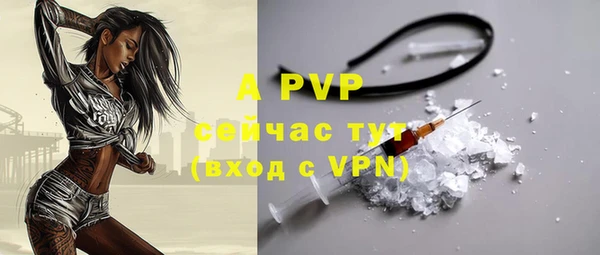 ГАЛЛЮЦИНОГЕННЫЕ ГРИБЫ Струнино