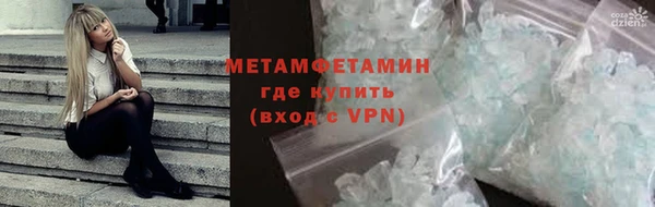 прущие грибы Ступино