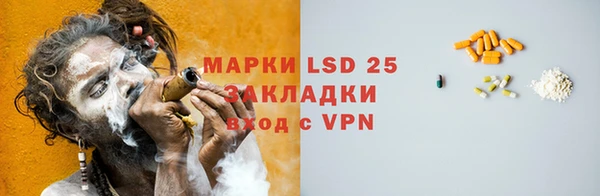 ГАЛЛЮЦИНОГЕННЫЕ ГРИБЫ Струнино