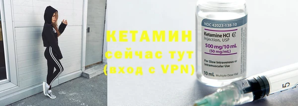 прущие грибы Ступино