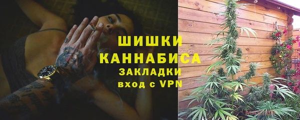 ГАЛЛЮЦИНОГЕННЫЕ ГРИБЫ Струнино