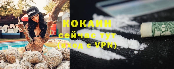 стаф Богданович