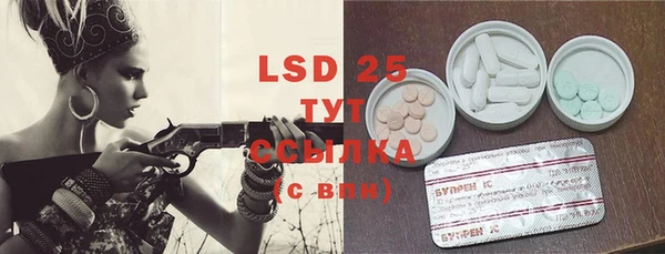 прущие грибы Ступино