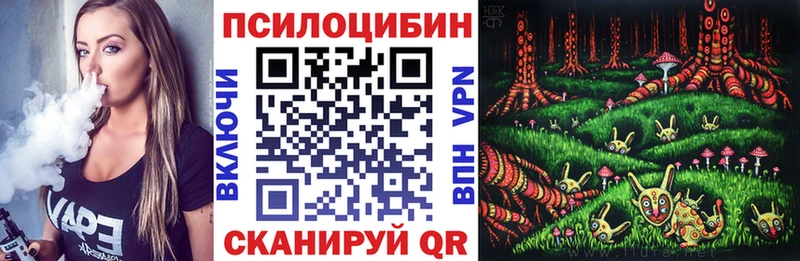 Галлюциногенные грибы Psilocybe  Фокино 